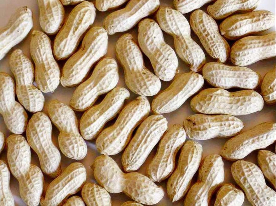 Groundnut (Shelled) 25kg